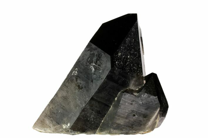 Massive, Long Smoky Quartz Point - Brazil #80188